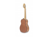 APC Cuatro Venezuelano APC CUA100 Spruce Sapele APC Cuatro Venezuelano APC CUA100 Spruce Sapele